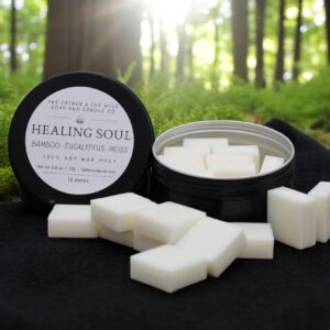Healing Soul